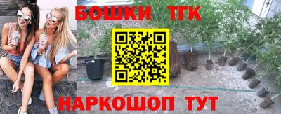 эйфоретик Малгобек