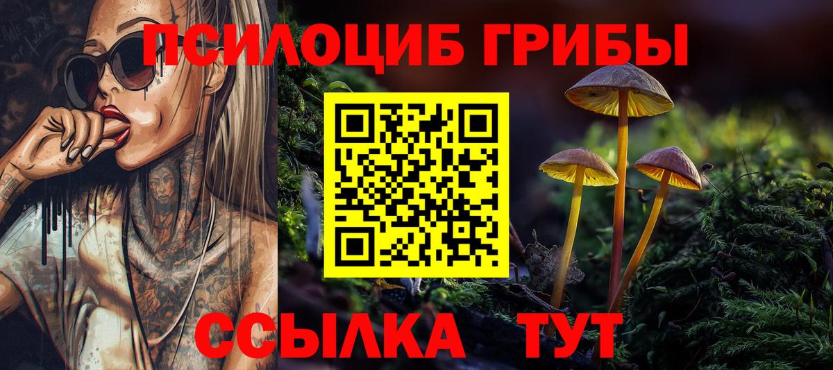 Элиста  Галлюциногенные грибы мухоморы  Псилоцибиновые грибы мухоморы  Вход с VPN 